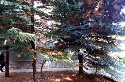 იყიდება ახალი გარემონტებული 5 ოთახიანი  აგარაკი წეროვანში